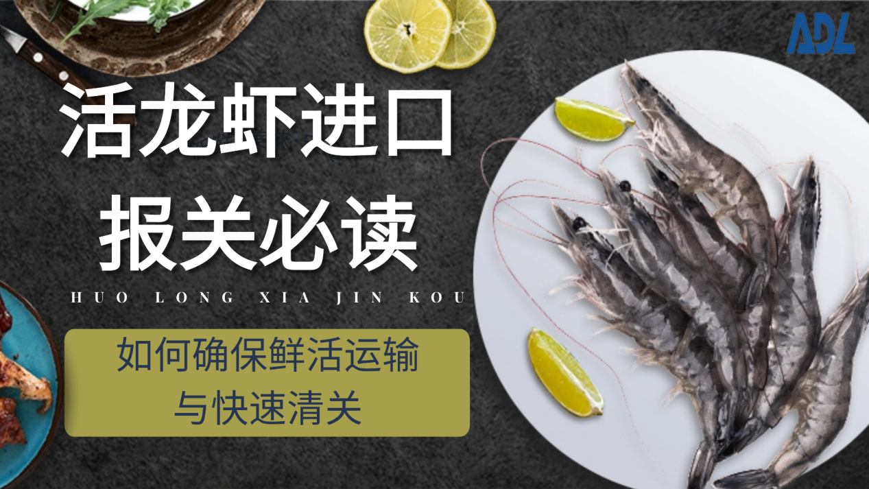 活龙虾进口报关必读：如何确保鲜活运输与快速清关