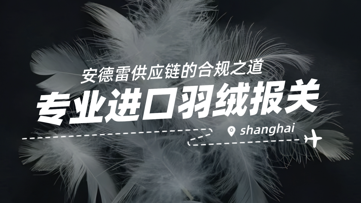 专业进口羽绒报关：上海安德雷的合规之道