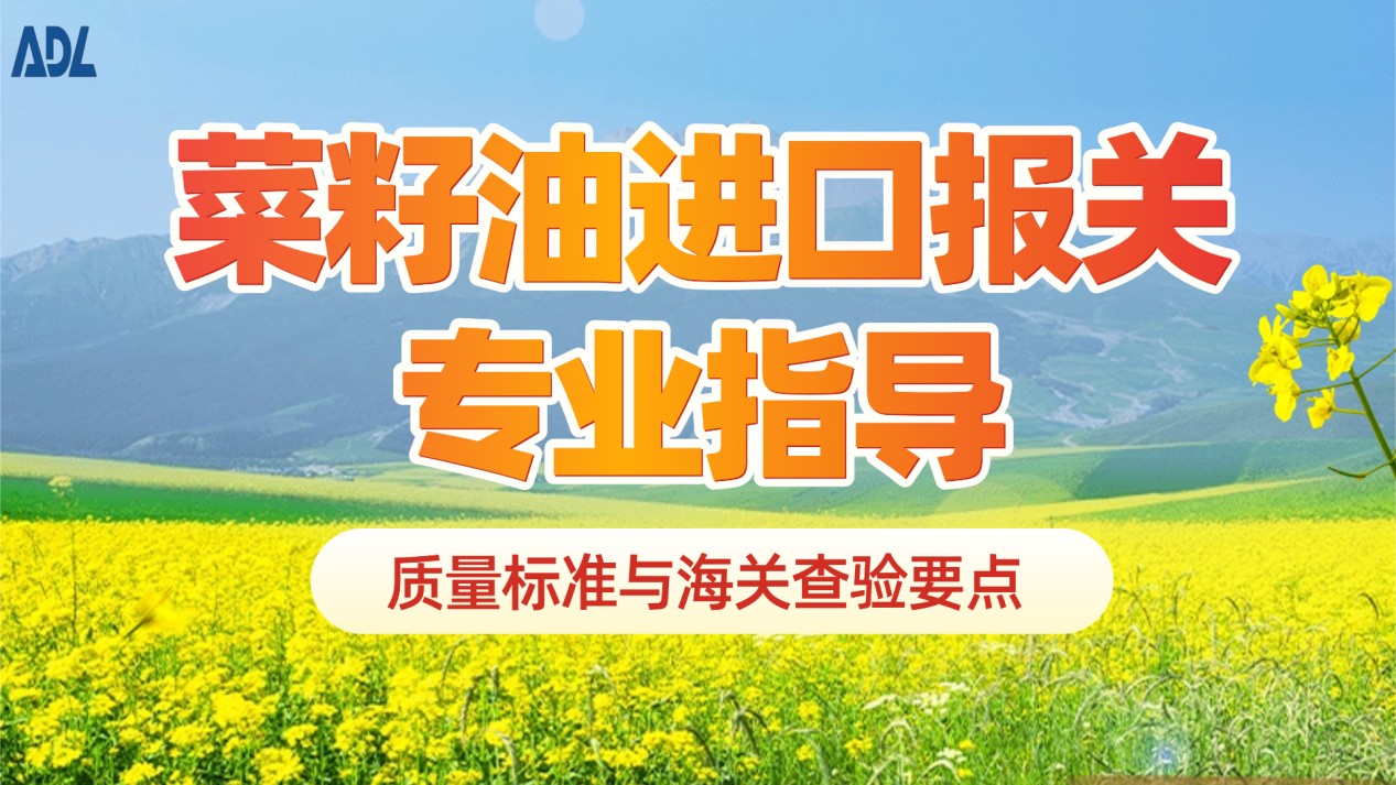 菜籽油进口报关专业指导：质量标准与海关查验要点